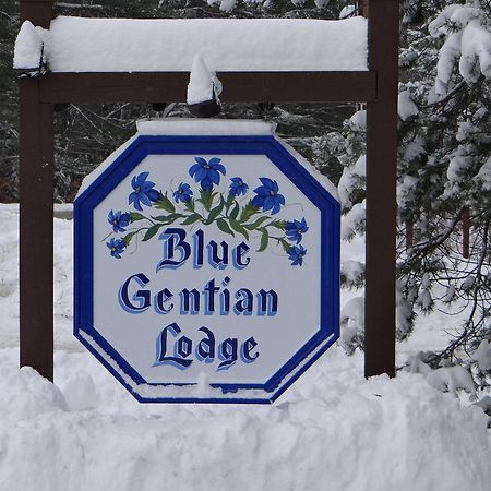 Blue Gentian Lodge At Magic Mountain Londonderry Buitenkant foto