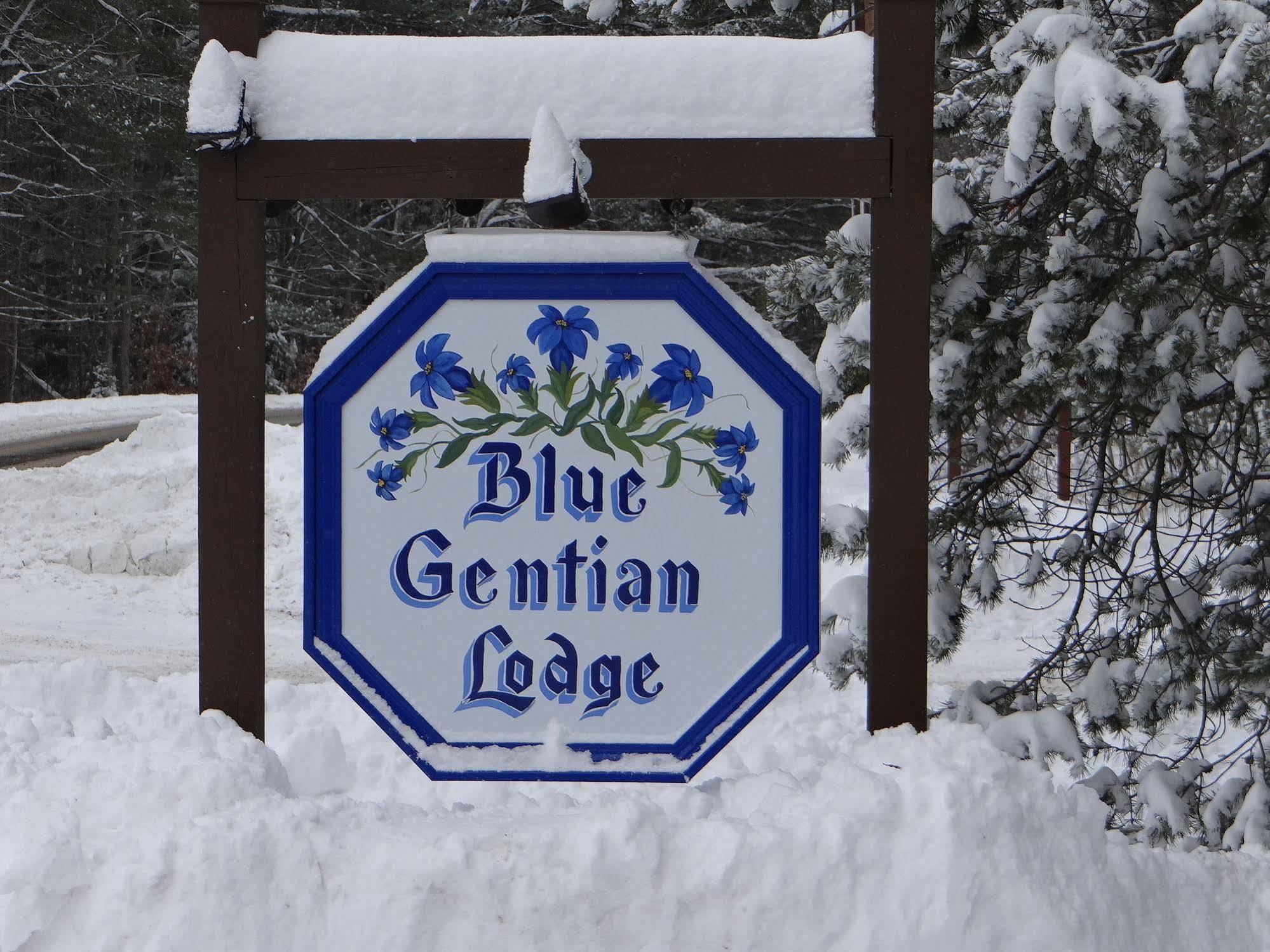 Blue Gentian Lodge At Magic Mountain Londonderry Buitenkant foto
