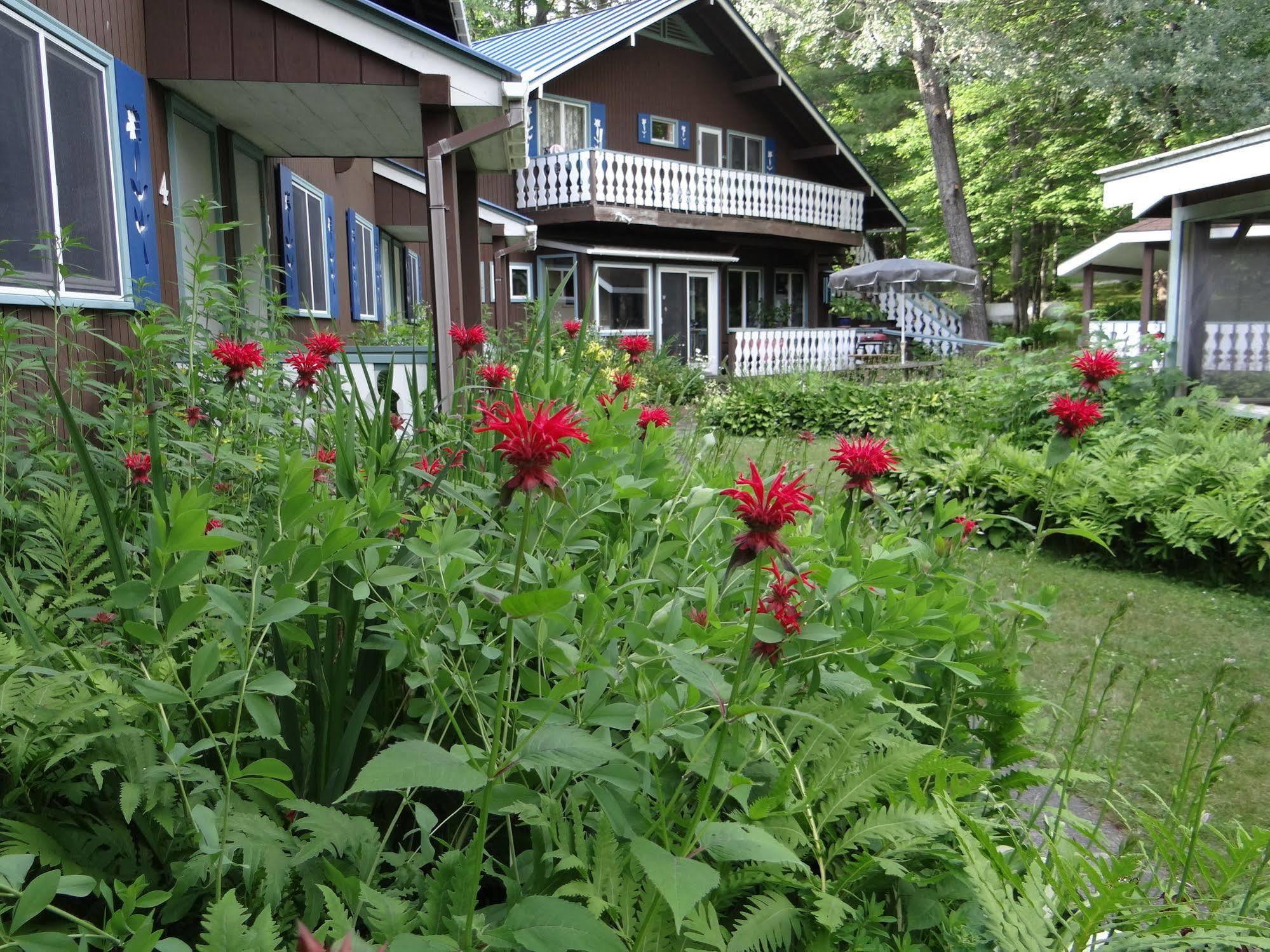 Blue Gentian Lodge At Magic Mountain Londonderry Buitenkant foto